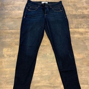 🎄4/25🎄 Artisan Crafted Skinny Jeans